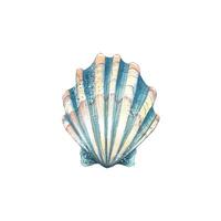 Watercolor illustration of a blue shell isolated object on a white background. Colorful, beautiful. Underwater world. For the design of postcards, posters, stickers, designs, patterns. vector