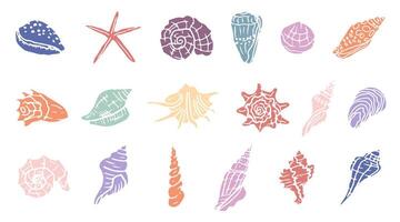 Set of hand drawn shells. Different colorfull tropical beach seashells . Design elements for posters, menu, summer season. Trendy design in flat style vector