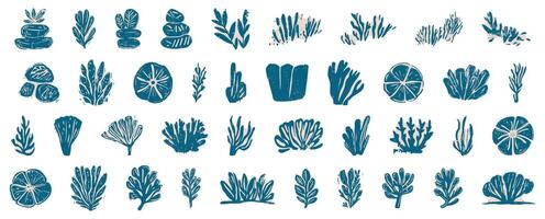 Collection of linocut hand-drawn seaweed and aquatic plant illustrations in blue and beige ink style, featuring various underwater flora and coral, isolated on transparent background vector