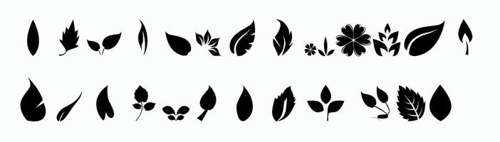 Collection of varied leaf icons vector