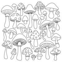Mushroom outlines collection. Intricate designs showcase different mushroom shapes and patterns, perfect for coloring or educational use. vector