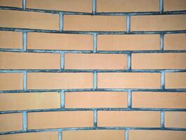 Close-up of a yellow facing brick wall with a textured surface photo