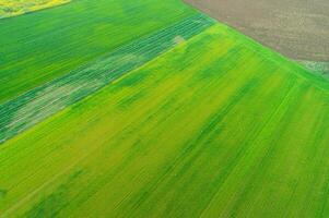 abstract farm landscape with green patterns from above. Aerial drone view. Background concept texture of agriculture photo