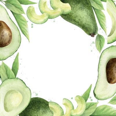 Green Avocado whole fruits, halves fruit with seed and Seedless slices. Watercolor square frame. Template of healthy vegan vegetables and leaves for menu, packaging of food, cosmetics, recipe, cards