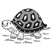 Illustrated tortoise in nature reptile with shell, black and white drawing vector
