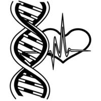 dna helix intertwines with heart and heartbeat line symbolizing genetics and health connection vector