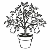 Potted Pear Tree Illustration with Ripe Fruits and Leaves Line Art Design vector
