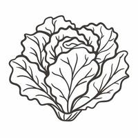 Detailed Black and White Cabbage Line Art for Coloring and Design Projects vector