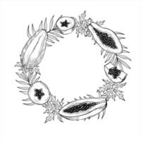 tropical papaya fruit and palm leaves wreath in monochrome linear style. Sweet pawpaw dessert graphic round frame illustration with empty space for text. Summer juicy fruit for food branding. vector