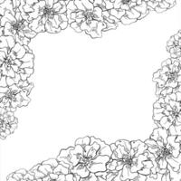 Marigold flower head square frame with empty space for text. Blooming calendula flowers etching drawing painted by black inks. Floral tagetes border for garden themed design, festival of lights vector