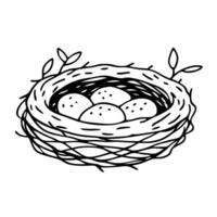 Hand Drawn Bird Nest with Eggs Illustration for Nature and Wildlife Themes vector