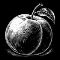 A black and white drawing of an apple with a stem vector