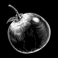 A black and white drawing of a red apple with a stem vector