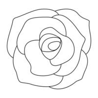flower rose simple line, dashed line floral icon, flower outline shape, flora dot stroke vector