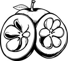 Hand-Drawn Illustration Of A Halved Apple Showing Detailed Seed Structure vector
