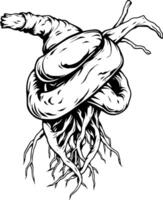Intricate Knotted Roots Resembling a Heart Shape Detailed Line Art Design vector