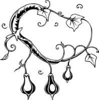 Elegant Black And White Illustration Of A Flourishing Vine With Hanging Gourds And Intricate Leaf Det vector