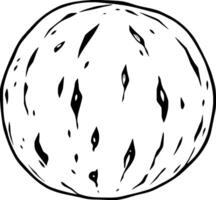 Detailed Line Drawing Of A Single Whole Walnut Shell vector