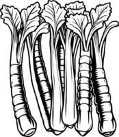 A Detailed Line Drawing Of Fresh Celery And Root Vegetables vector