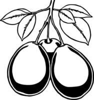 Line Art Illustration Of A Pair Of Nutmeg Fruits On A Branch With Leaves vector