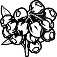 Cluster Of Black And White Berries On A Branch With Leaves vector