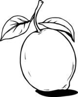 Drawing Of A Single Lemon With Leaves vector
