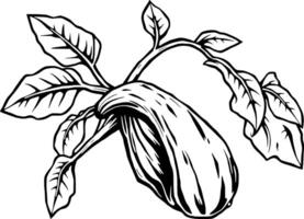 Elegant Line Art Illustration Of A Single Eggplant On Its Vine With Lush Leaves vector