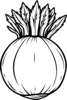 Line Drawing Of A Single Beetroot With Leaves vector