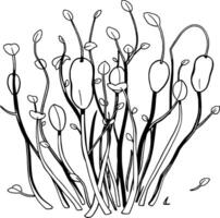A Cluster Of Vibrant Green Sprouts Emerging From The Earth Displaying Early Growth Stages vector