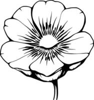 Elegant Line Art Drawing Of A Single Blooming Flower vector