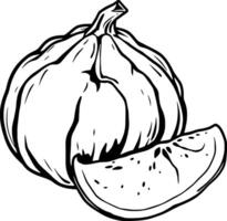 A Detailed Line Drawing Of A Whole Pumpkin And A Slice Of Watermelon vector