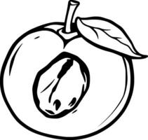 Halved Peach Illustration A Simple Line Drawing Of A Peach Cut In Half Revealing Its Pit And Leaf vector