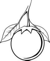 Line Drawing Of A Single Eggplant With Leaves Attached To Stem vector