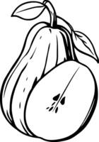 A Detailed Line Drawing Of A Pear Halved Showing Its Seeds And Leaves vector
