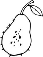 Line Drawing Of A Halved Pear With Seeds And Leaf vector