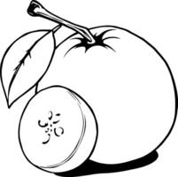 Line Art Drawing Of A Whole Apple And A Slice Showing Seeds And Leaf vector