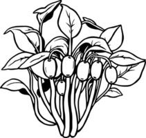 Elegant Line Art Drawing Of A Bunch Of Mayapples With Berries vector