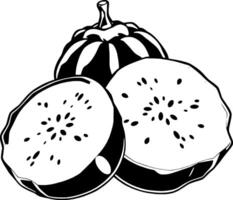 Monochrome Illustration Of A Whole And Two Sliced Round Fruits Possibly A Type Of Melon Or Gourd vector