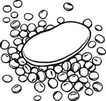 Single Large Soybean Resting on a Pile of Smaller Soybeans vector