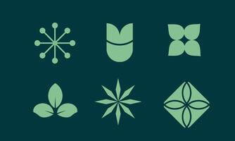 Spring Design Element with Bright Colors Floral Illustrations and a Fresh Seasonal Feel vector