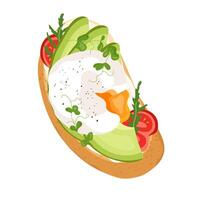 Delicious open sandwich with poached egg, avocado slices, cherry tomatoes and fresh herbs on toast. Healthy breakfast concept Perfect for menu design, banner, print or web. Flat illustration vector