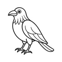 A black and white drawing of a bird vector