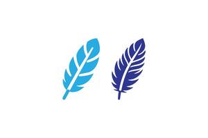 Two blue feathers on a white background vector