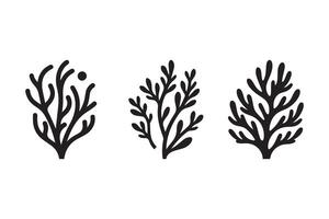 Three black and white drawings of plants vector