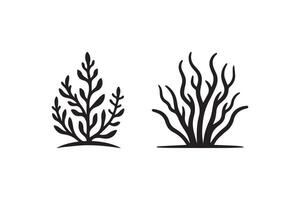 Two black and white illustrations of plants vector