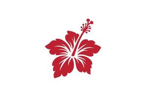 A red hibiscus flower is shown on a white background vector