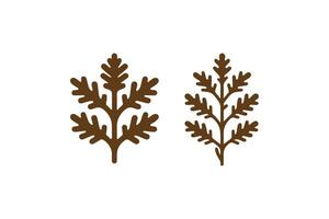 Two leaves are shown on a white background vector