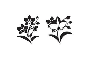Two black and white flowers are shown in the shape of orchids vector
