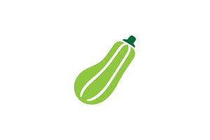 A green squash is shown in a flat design vector