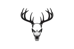 Deer skull with antlers on a white background vector